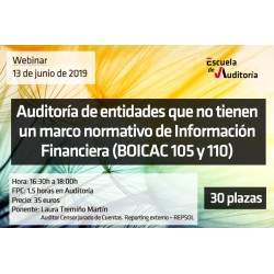 50164362 - Auditoría de entidades que no tienen un marco normativo de Información Financiera (BOICAC 105 y 110)