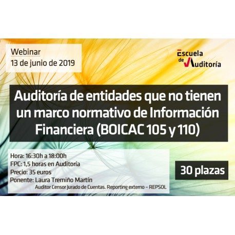 auditoria-de-entidades-que-no-tienen-un-marco-normativo-de-informacion-financiera-boicac-105-y-110