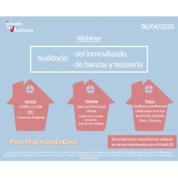 Auditoria del inmovilizado bancos y tesoreria