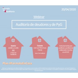 50177496 - Auditoría de deudores y de PyG