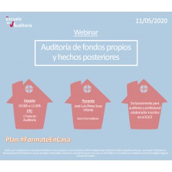 50177990 - Auditoría de fondos propios y hechos posteriores