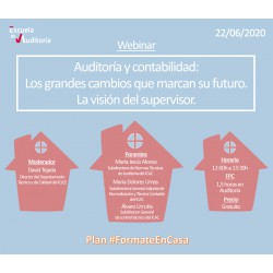 50179535 -Auditoría y contabilidad: los grandes cambios que marcan su futuro. La visión del supervisor