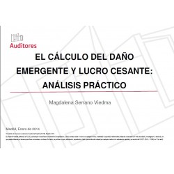 50266132 - El cálculo del daño emergente y del lucro cesante: análisis práctico