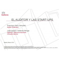 50277781 - El auditor y las Start-ups