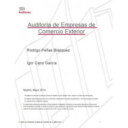 50276241 - Auditoría de las Empresas de Comercio exterior 