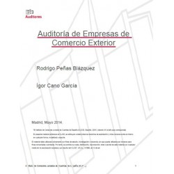 50265015 - Auditoría de las Empresas de Comercio exterior 