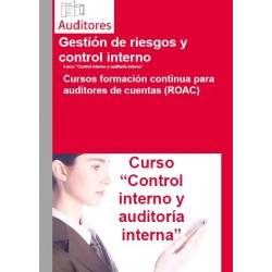 50241117 - Control Interno y Auditoría Interna