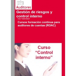 50256521 - Curso sobre Control Interno