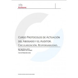 50241242- Protocolos de actuación del abogado y el auditor. Circularización. Responsabilidad.