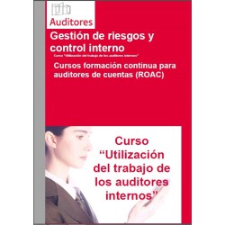 50241246 - Utilización del trabajo de los auditores internos
