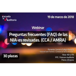 50148626 -Preguntas frecuentes (FAQ) de las NIA-es revisadas